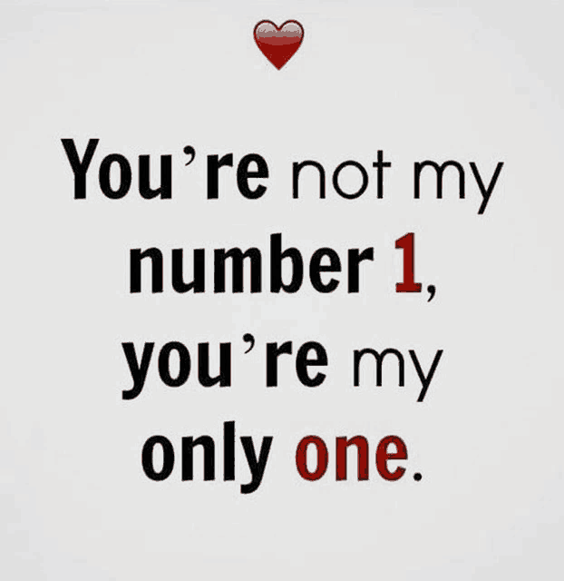 a quote that says `` you 're not my number 1 , you 're my only one . ''