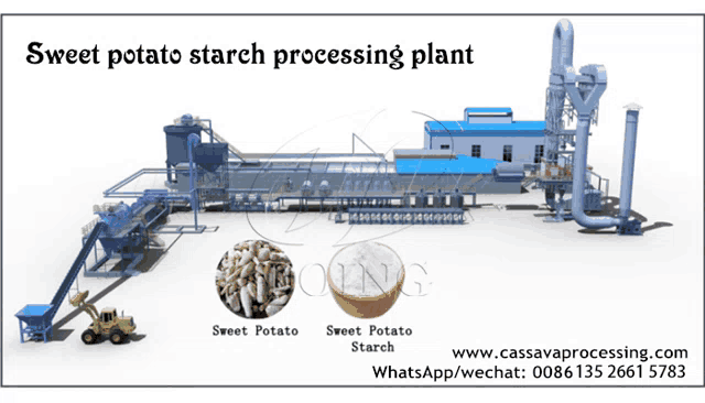 a sweet potato starch processing plant is shown