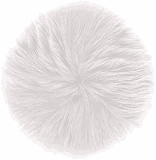 a close up of a white fluffy cushion on a white background .