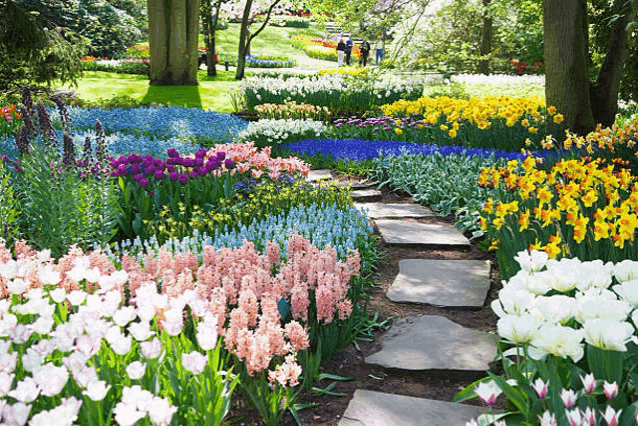 a garden filled with lots of different colored flowers and a stone path