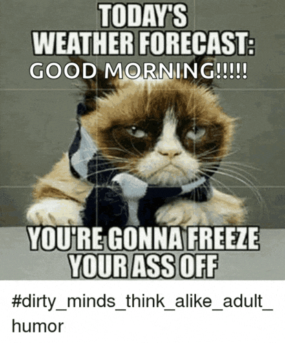 a grumpy cat with a scarf around its neck says today 's weather forecast good morning !!!