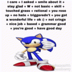 a picture of a sonic the hedgehog with a message behind him