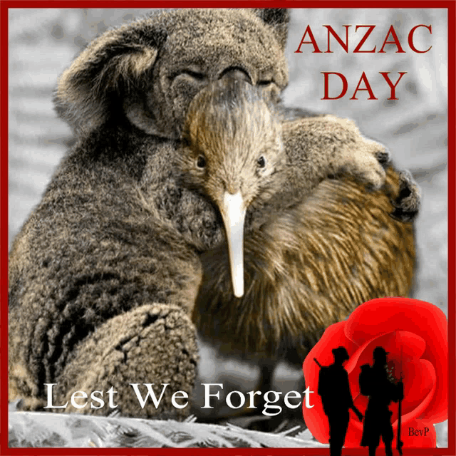 a picture of a koala and a kiwi with the words anzac day lest we forget