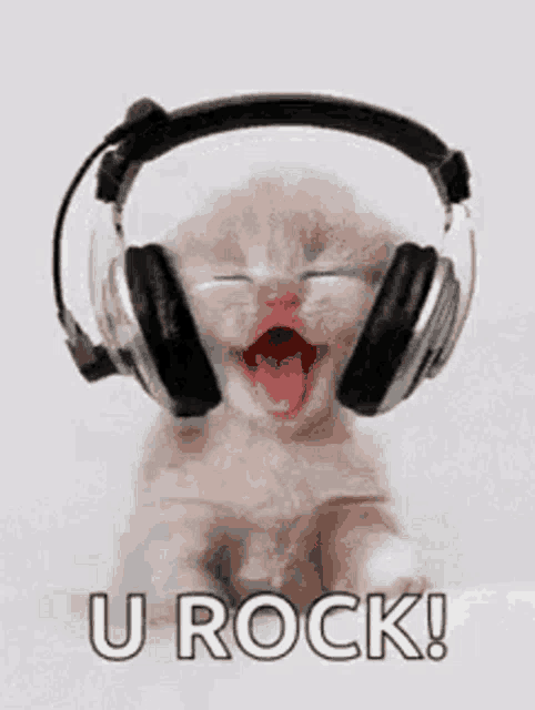 a kitten wearing headphones is yawning and says `` u rock ! ''