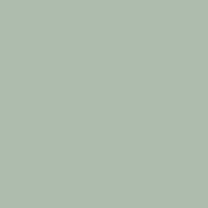 Solid Seafoam Green - Sage Green