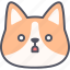 shocked, corgi, dog, emoticon, emoji, emotion, feeling 