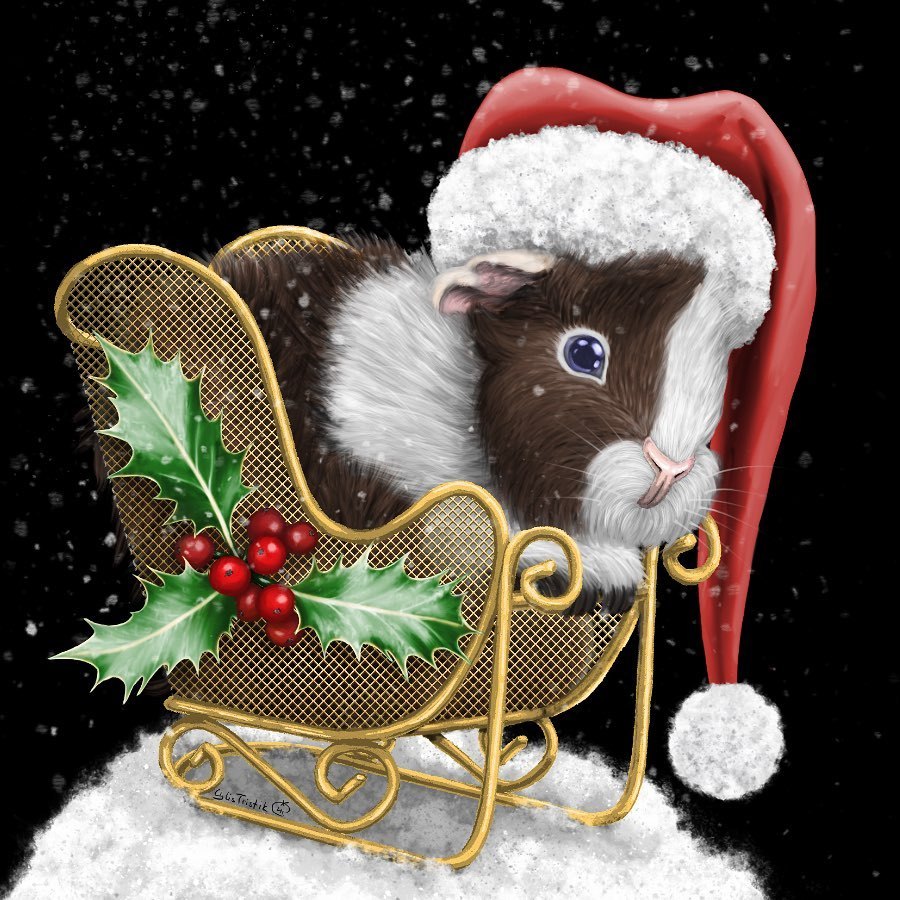 Uuuhhii … ich hab es irgendwie fertig bekommen! (und verdrängt es abzuschicken)
Fröhliche Festtagsgrüße vom Weihnachtsm~m~Meerschwein… xD
User von Fanfiktion.de können diesen Schlitten durch ihr Bücherregal fahren lassen. (Nicht wörtlich zu...