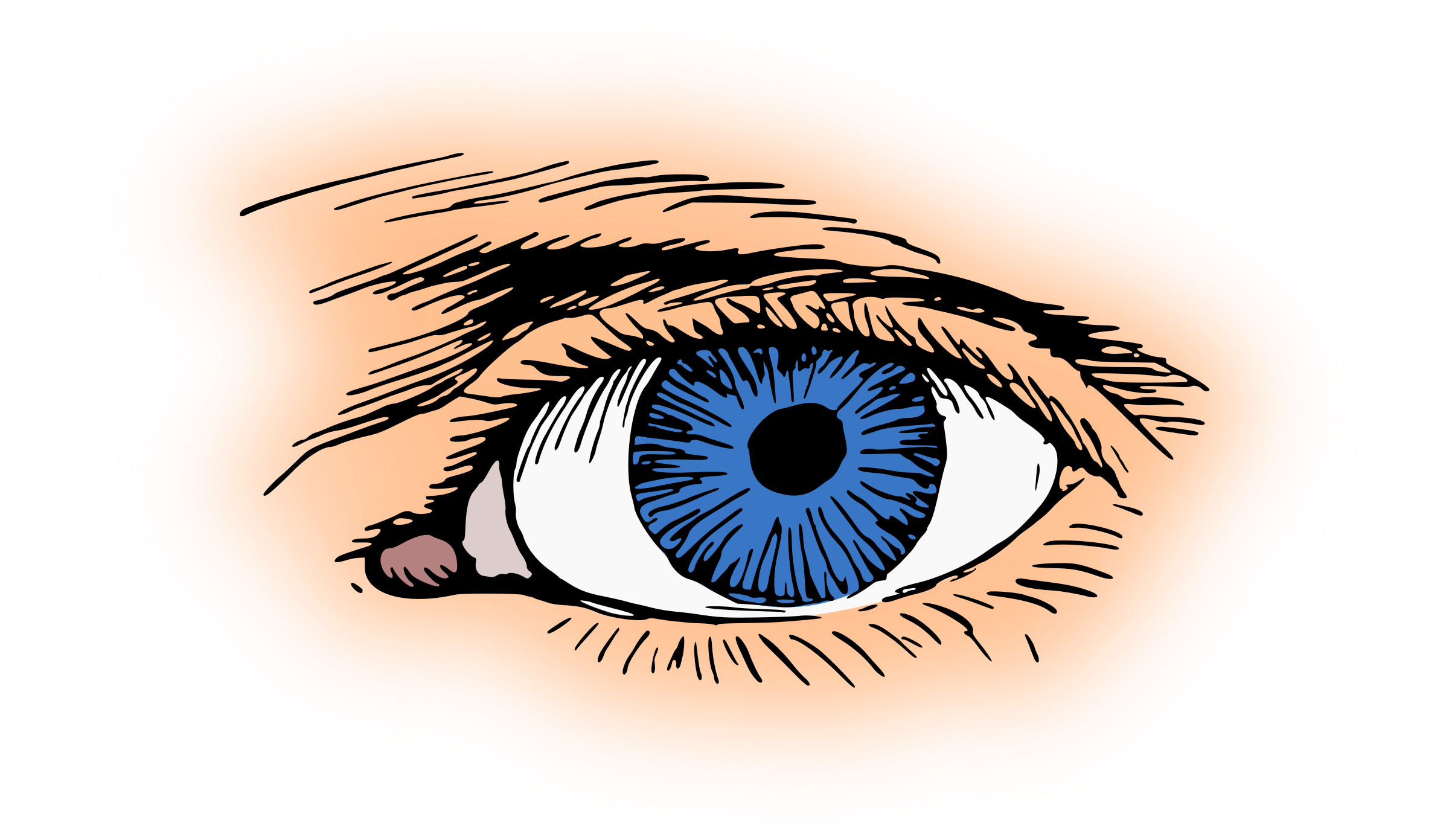 Blue Eye Vector Clipart image - Free stock photo - Public Domain photo ...