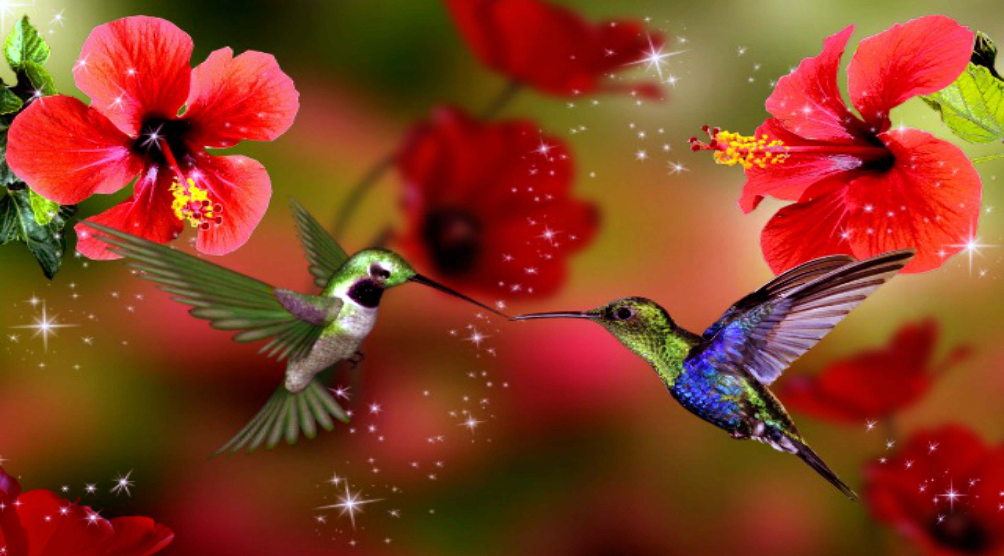 Spring Backgrounds With Birds