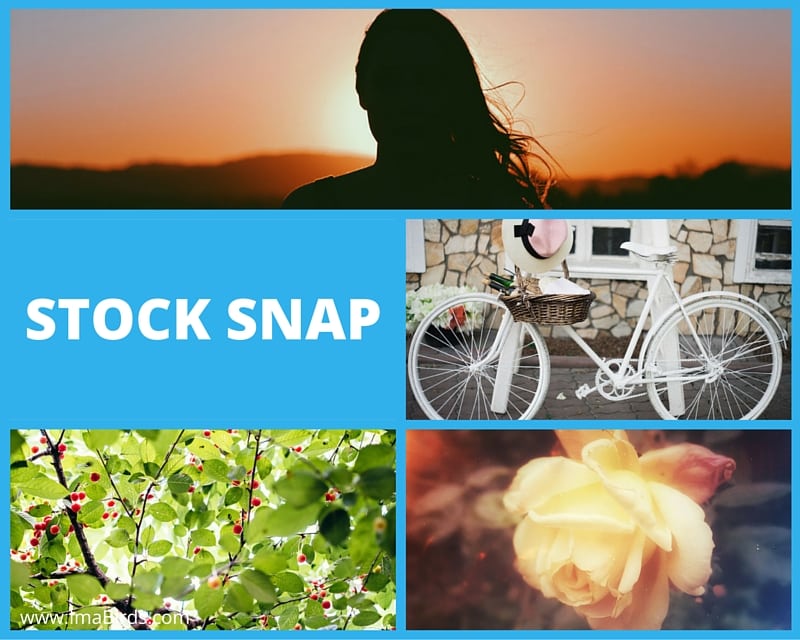 Stock Snap - kostenlose freie Bilder