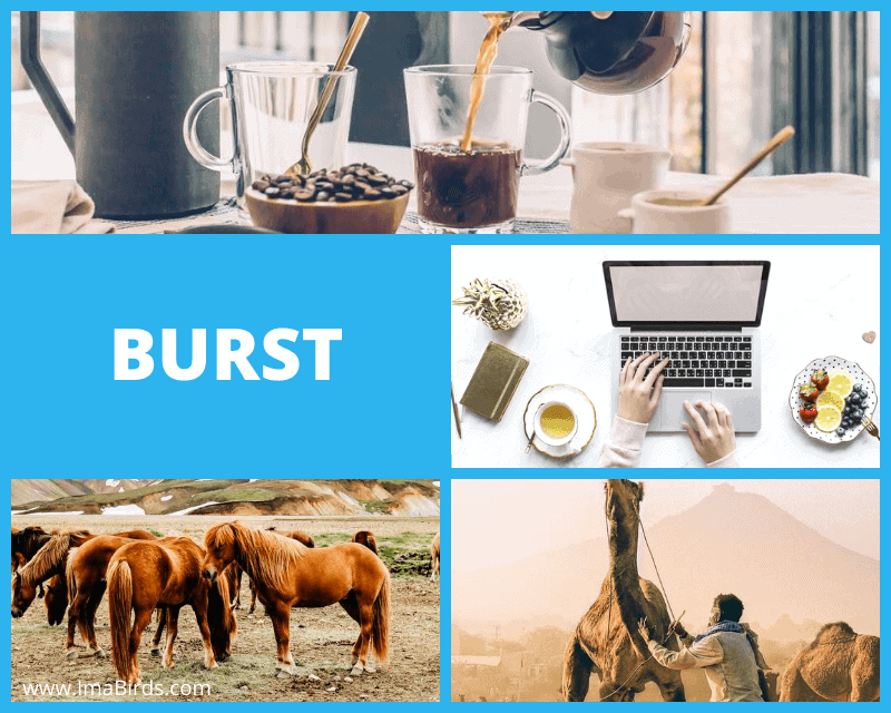 Burst - Plattform mit lizenzfreien kostenlosen Bildern