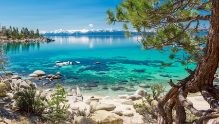 Hình nền Lake Tahoe California nước trong xanh tự nhiên sẽ làm cho bạn nhớ đến những kỳ nghỉ tự tại cùng gia đình, bạn bè hoặc người thân. Cảnh tượng nước trong xanh, con cá đầy sức sống và những ngọn núi trùng điệp giữa dòng nước tạo nên một cảnh tượng tuyệt đẹp đến kinh ngạc.