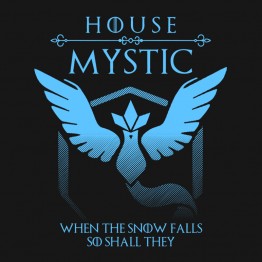 Pokemon Go House Mystic