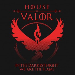 Pokemon Go House Valor