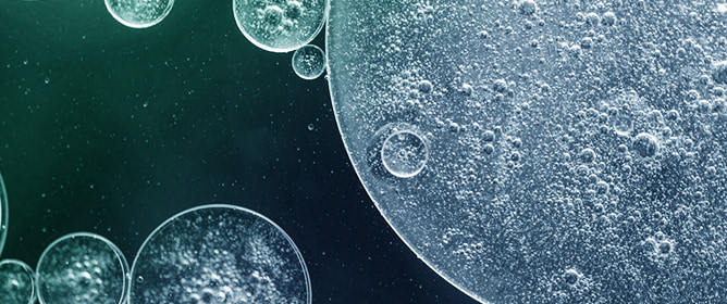 The Relationship Between Ribosomal RNA Operon Copy Number and Ecological Characteristics of AS Microbial Communities Across China