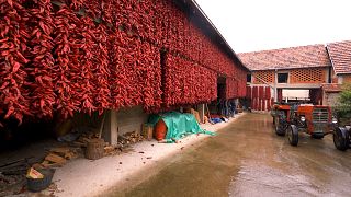 Serbiens rotes Dorf Donja Lokošnica und das UNESCO-Weltkulturerbe Pirot-Teppichhandwerk