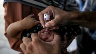 Ein Mitarbeiter des Gesundheitswesens verabreicht einem Kind in einem Krankenhaus in Deir al-Balah im zentralen Gazastreifen einen Polio-Impfstoff, Sonntag, 1. September 2024.