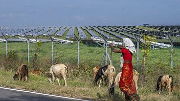 Können wir Net Zero erreichen?