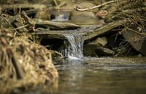 Umweltschützer sehen unter anderem eine Gefahr für Grund- und Trinkwasser durch diese Methode der Gasförderung