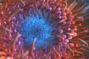 Digital Anemone Flower (2560x1024) Resolution Wallpaper