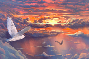 Soaring Through Sunset Dreams (1336x768) Resolution Wallpaper