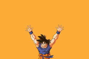 Son Goku Dragon Ball Z Minimal 4k (2560x1700) Resolution Wallpaper