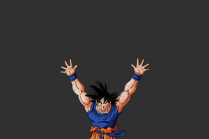 Son Goku Dragon Ball Z Minimal (2560x1700) Resolution Wallpaper