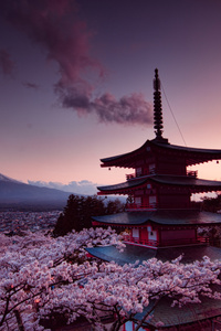 Churei Tower Mount Fuji In Japan 8k (1080x2400) Resolution Wallpaper