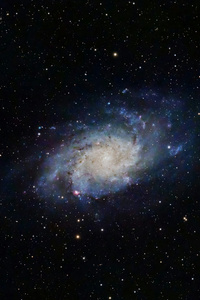 Spiral Galaxy With Stars (1080x1920) Resolution Wallpaper