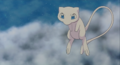 Mew (sauvage)