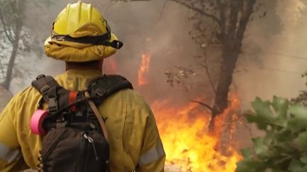 En Californie (États-Unis), des incendies dévastent les forêts. (France Info)