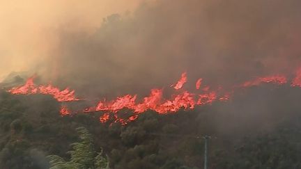 Pyrénées-Orientales : un village menacé par un violent incendie, des habitants évacués (France 2)