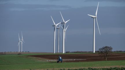 Un parc éolien à La Rochelle, le 6 février 2024. (XAVIER LEOTY / MAXPPP)