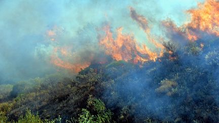 L'incendie de Gabian, le 10 août 2016 a fait quatre victimes chez les pompiers. L'un deux, Jérémy Beier, n'a pas survécu. (MICHAEL ESDOURRUBAIL / MAXPPP)