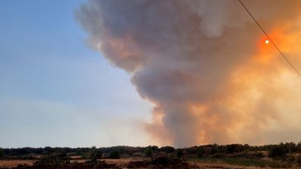 Un des incendies en Grèce, dans la forêt de Dadia, au nord-est du pays. (MARIE-PIERRE VÉROT / RADIO FRANCE)