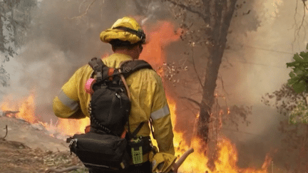 Incendies en Californie : l'état d'urgence décrété à Los Angeles, encerclée par les flammes (France 2)