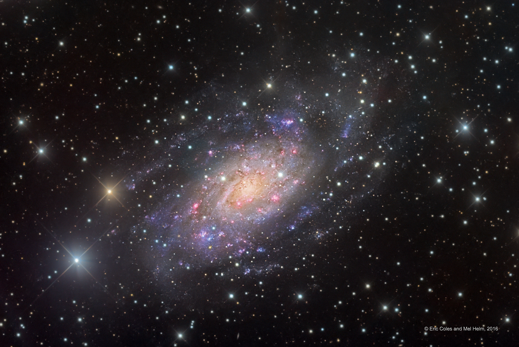 Camelopardalis的ngc2403