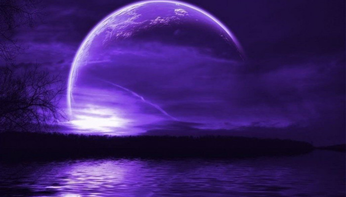 Purple Moon Wallpaper