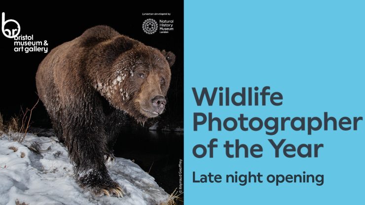 Bristol Museum Lates- Wildlife Photographer of the Year