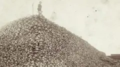 Dois homens de terno preto e chapéu-coco posam junto a uma montanha de crânios de bisão, desafiando a gravidade. Milhares e milhares de crânios, em pilhas bem arrumadas, apontam em direção ao céu.