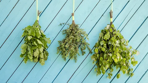 Getty Images Sauna-goers beat their bodies with bundles of branches to slough off dead skin and stimulate blood circulation (Credit: Getty Images)