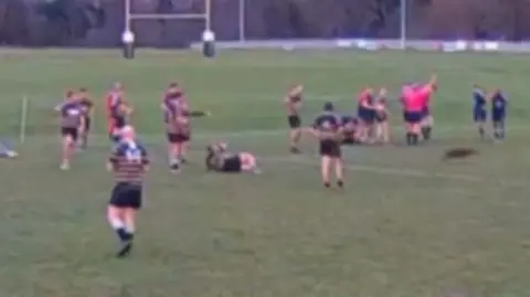 A deer runs across a rugby pitch, watched by rugby players, after colliding with a rugby player