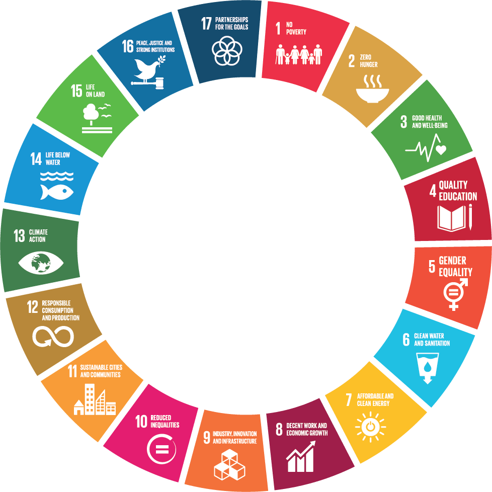 Everyone is starting to adopt the UN SDG framework, but how can you ...