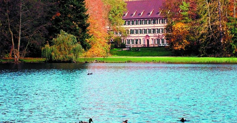 Fürstenhaus Zu Leiningen Hochzeit
 Location Fürstenhaus zu Leiningen in Landkreis Miltenberg