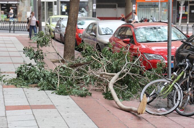 112 Canarias registra casi 100 incidencias a causa del viento en las islas occidentales sin dejar daños personales