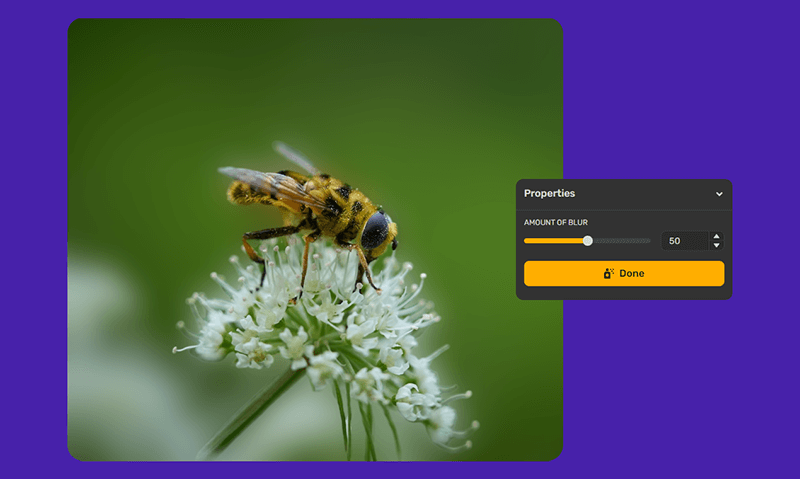 With AI Photo Editor, You Can Achieve Professional Editing in Few Clicks!