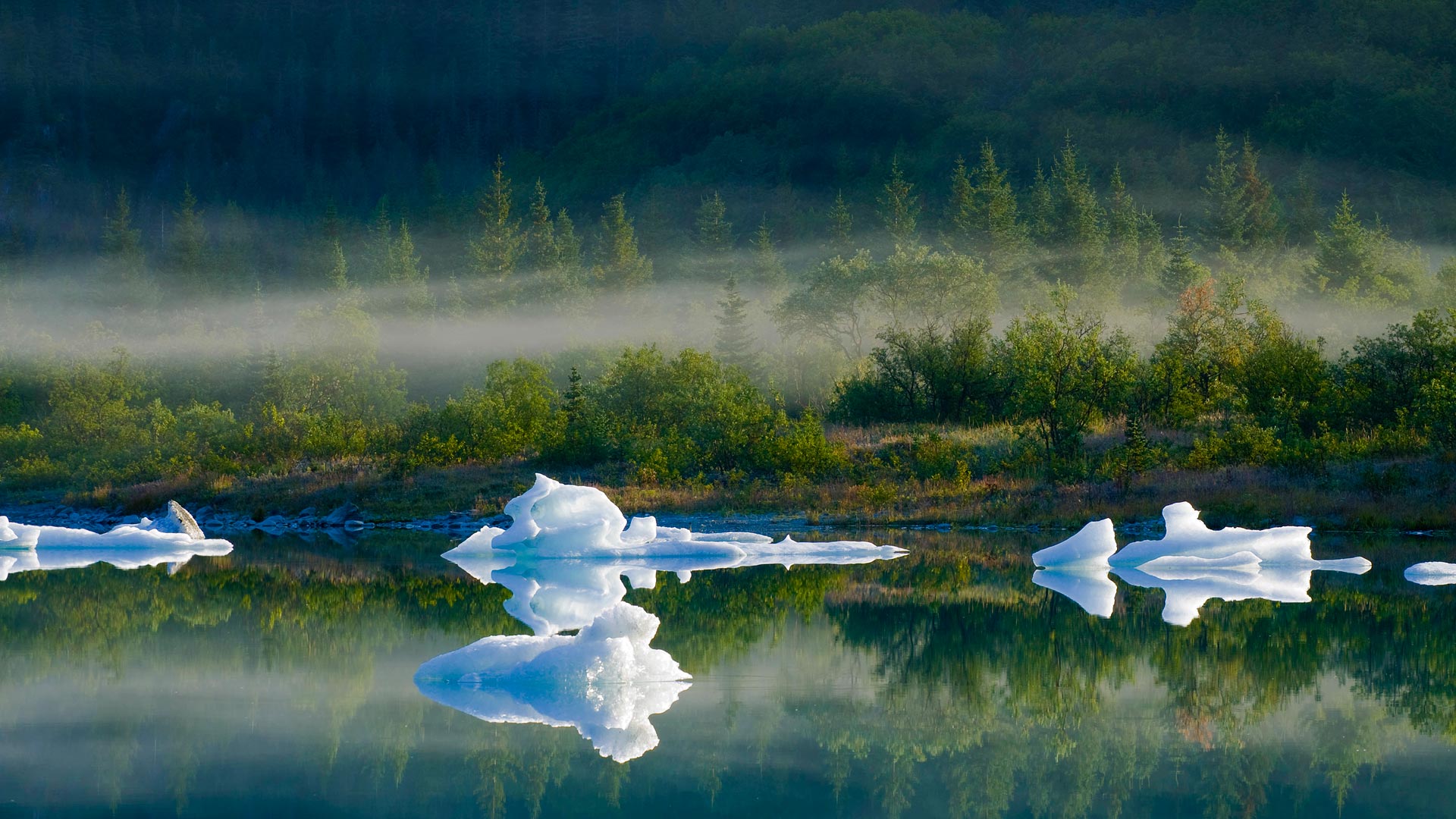 Bear Glacier Lake