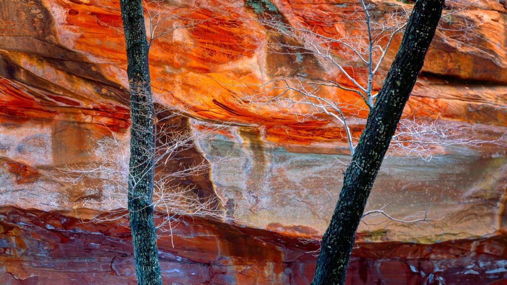 Sedona Oak Creek