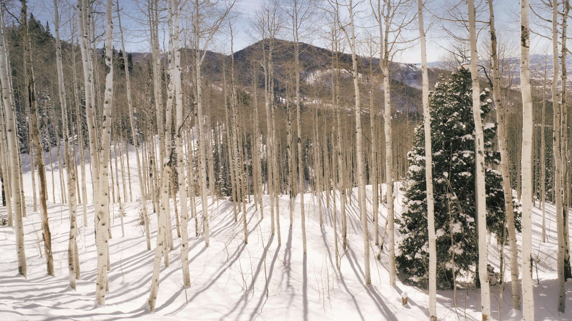 Wasatch Mountains