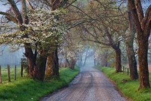 Cades Cove